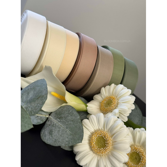 Стрічка репсова 2,5 см оливкова 0565 Olive Grey
