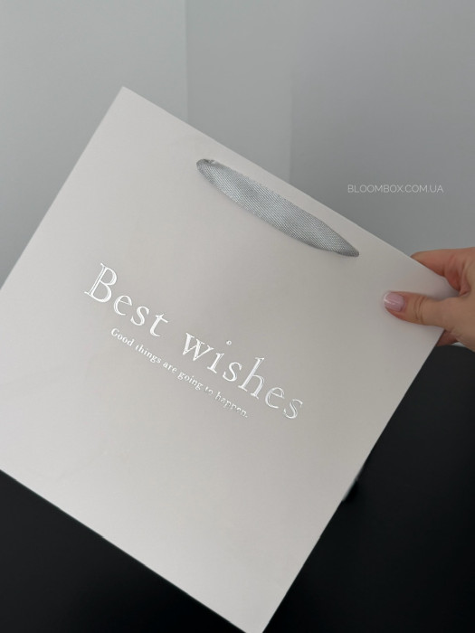 Пакети-переноски «Best wishes» срібло 
