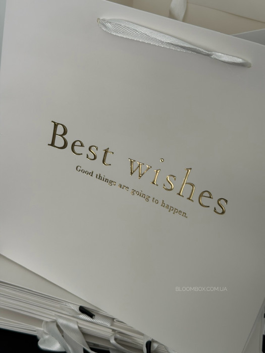 Пакети-переноски «Best wishes» золото 