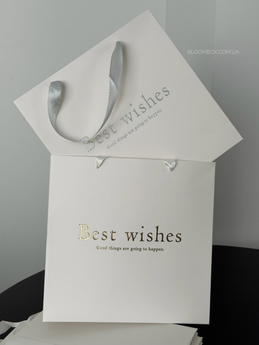 Пакети-переноски «Best wishes» срібло 