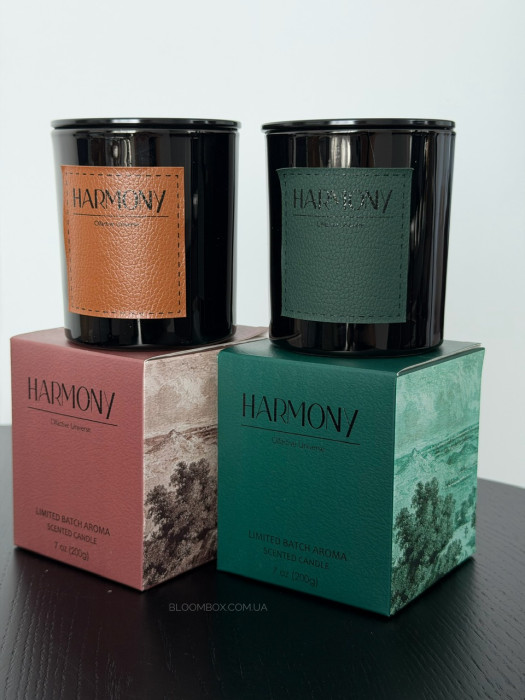 Аромасвеча «Harmony» L01670 бордовая