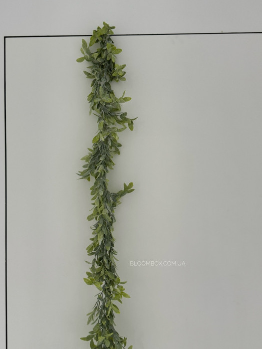Ліана салатова С30355