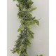 Ліана салатова С30355