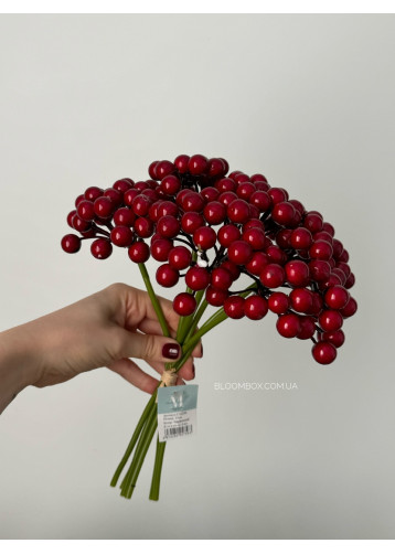 Букет калини С30394 червоний