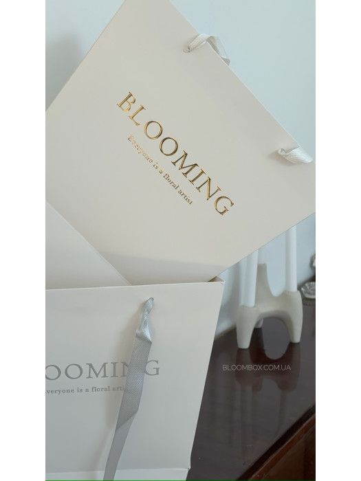 Пакети-переноски трапеція «Blooming» срібло