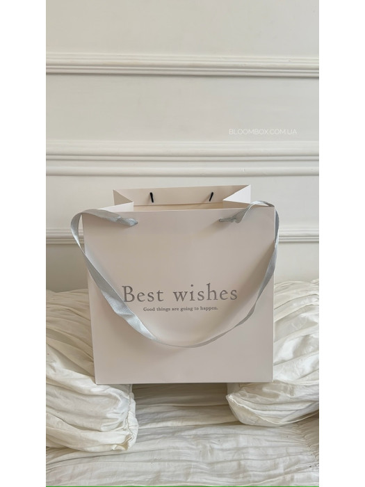 Пакети-переноски «Best wishes» срібло 
