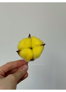Головки бавовни яскраво-жовті (20шт)