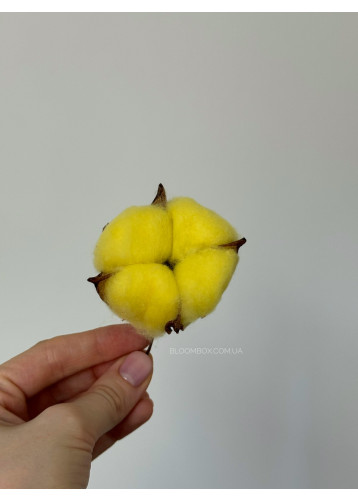 Головки бавовни яскраво-жовті (20шт)