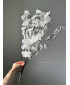 Сакура С30291 белая