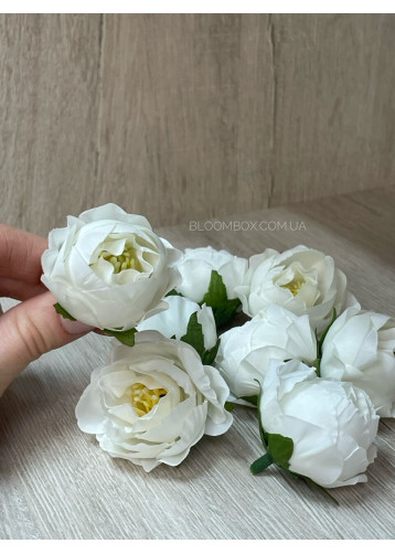Голівки троянди C30245 білі #1