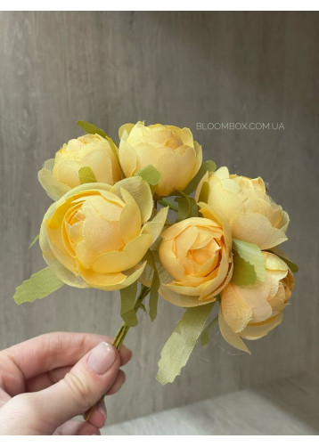 Пион С30241 персиковая #1