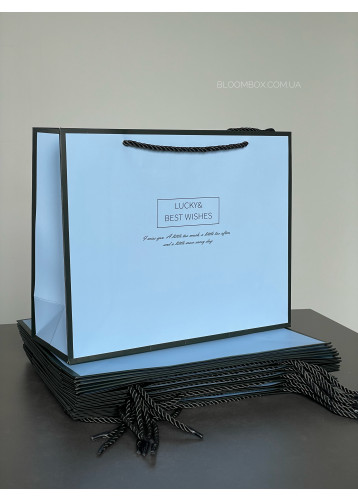 Сумочки подарочные «Best wishes»  голубые